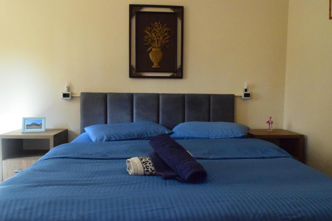 D1 Rooms & Apartments تيرانا المظهر الخارجي الصورة